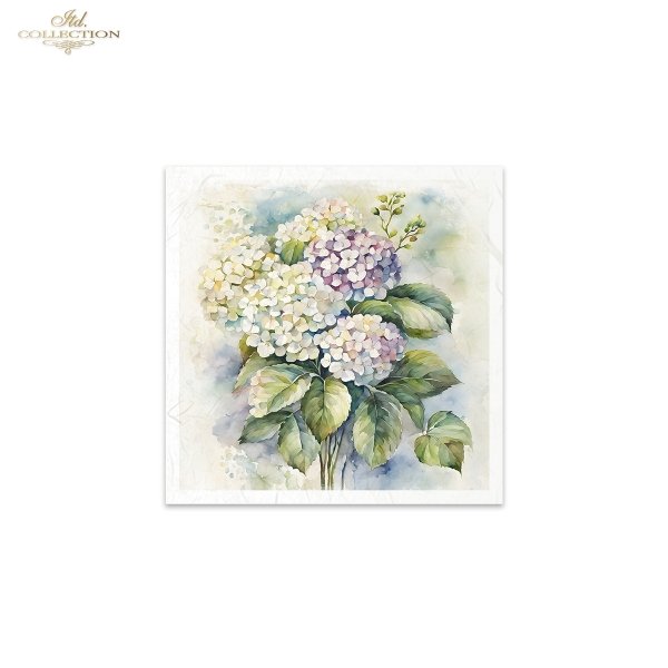 letnie kwiaty, bukiet kwiatów*Summer flowers, flower bouquet*Sommerblumen, Blumenstrauß*Flores de verano, ramo de flores 