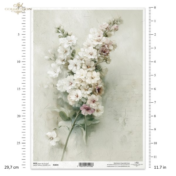 vintage, flora, bukiety, kwiaty, botanika. lewkonia