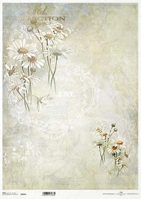 Seria Flower Post - White, Kwiatowa Poczta w bieli, rumianek*Flower Post in white, camomile, collage, inscriptions