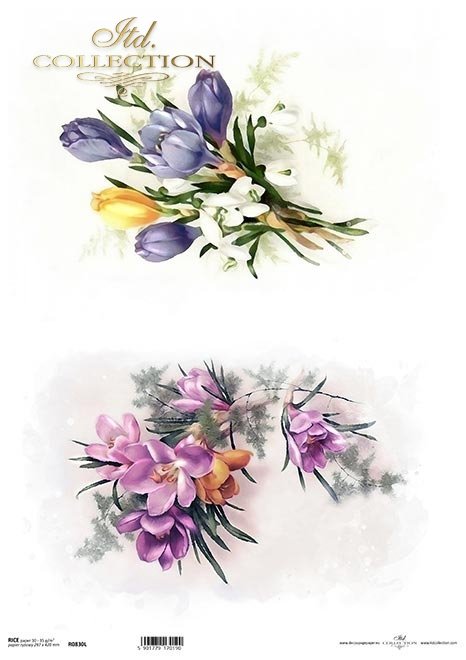 wiosenne kwiaty, frezja, krokus*spring flowers, freesia, crocus*Frühlingsblumen, Freesie, Krokus*flores de primavera, fresia, azafrán
