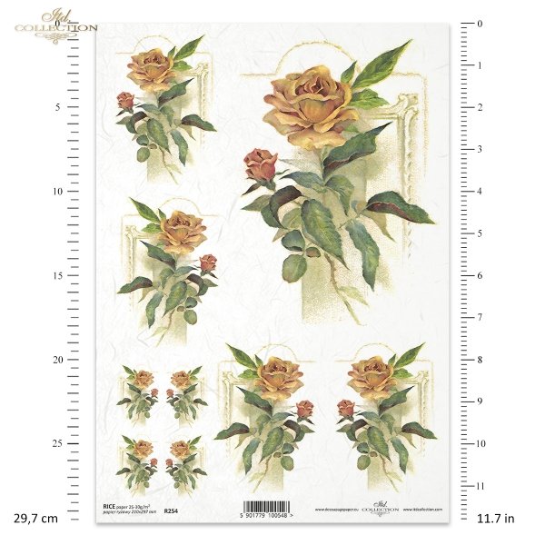 morelowa róża, róże, róża, kwiaty, żółte kwiaty, R254