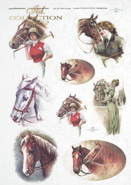 ladies, riding dress, horses, horses heads