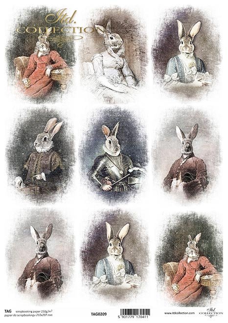 zwierzęta retro, zwierzęta w strojach, zając, zające, król, królowa, admirał, zoomorfizm, stroje historyczne, rosyjska dama, włoski manieryzm,  amerykański portret, francuski szyk, hiszpański admirał, francuska w błękitach