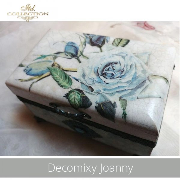 20190520-Decomixy Joanny-R0890-example 01
