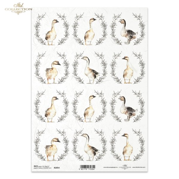 gęś, gęsi, gąska, gąski, wianek, wieniec, roślinne wieńce, zwierzęta, wieś, farma, goose, garland, wreath, floral wreathsanimals, village, farm, Gans, Gänse, Girlande, Kranz, Pflanzenkränze, Tiere, Dorf, Bauernhof, ganso, gansos, guirnalda, corona, corona