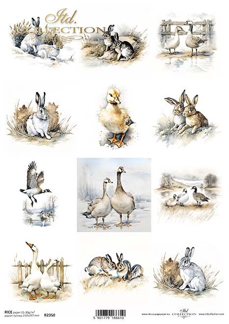seria Early Spring -  króliki, gęsie, zające*rabbits, geese, hares*Kaninchen, Gänse, Hasen*conejos, gansos, liebres