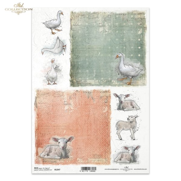 Wielkanoc, wiosna, dwie gęsi, gęś, gąska, baranek, baranki, pastelowe tło, zwierzęta gospodarskie, created by Magda Stanczew, Easter, geese, lambs, very interesting green and red background, Ostern, Frühling