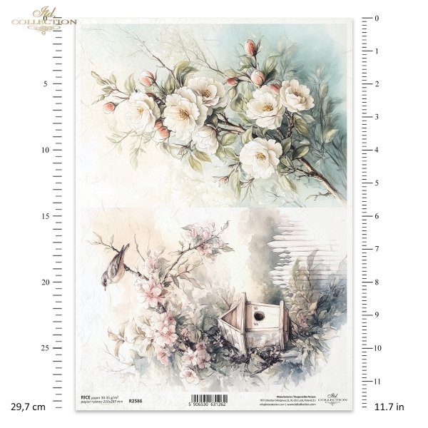kwiaty flowers Blumen flores 