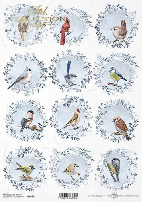 mrozem malowane, wieńce z ptakami, mysikrólik, zniczek, kardynał, sikorka, pleszka, szczygieł, gil, wróbel*decorated with frost, wreaths with birds, goldcrest, firecrest, redbird, titmouse, redstart, goldfinch, bullfinch, sparrow