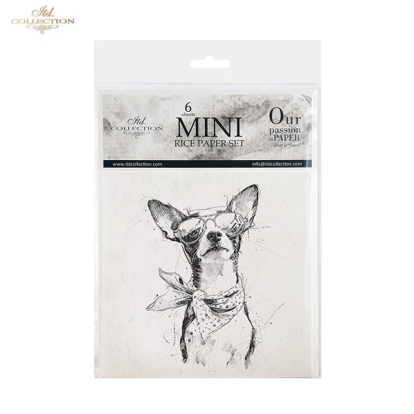 zwierzęta, okulary, szkic, portrety, czarno-białe, ołówek, minimalizm, chihuahua, zając, papuga, kameleon, kot, chomik, line art*animals, glasses, sketch, portraits, black and white, pencil, minimalism, chihuahua, hare, parrot, chameleon, cat, hamster, li