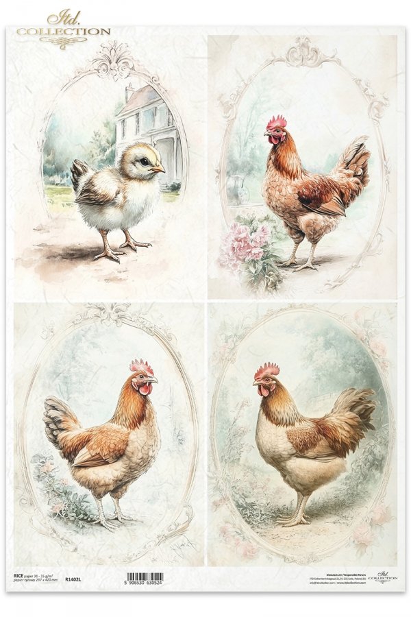 kury, kurczaki, wiejskie zwierzęta, wiosenne klimaty, rustykalny styl*chickens, countryside animals, springtime climate, rustic style*Hühner, Tiere auf dem Lande, Frühlingsklima, rustikaler Stil*gallinas, pollos, animales de campo, clima primaveral, estil