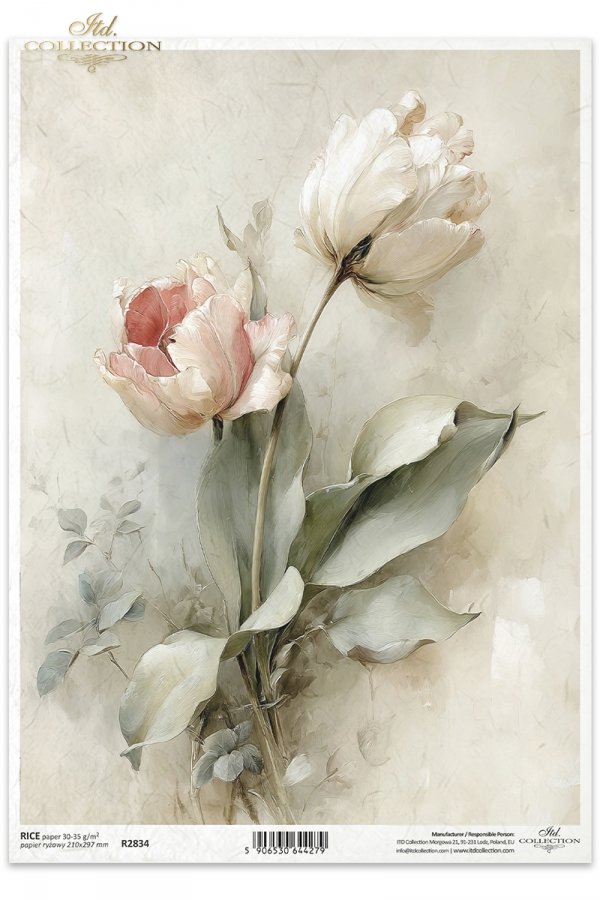 vintage, flora, bukiety, kwiaty, botanika, tulipan