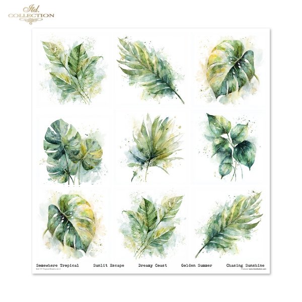 Scrapbooking papers SLS-111 Tropical Dreams vol. 2