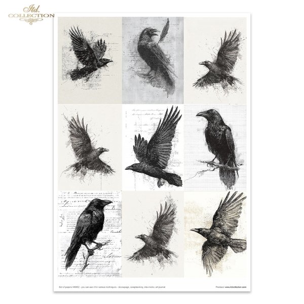 MS052 * Light &amp; Shadow part 2 - Światło i Cień