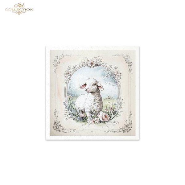Rice paper set RSM164