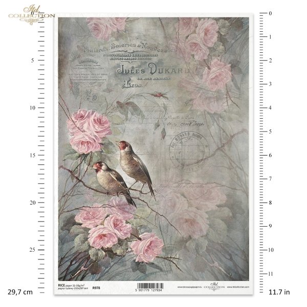 róża, róże, kwiat, ptak, ogród, pastelowe tło, list, ręczne pismo, R978, rose, flower, bird, garden, pastel background, letter, handwriting, Rose, Blume, Vogel, Garten, pastellfarbener Hintergrund, Buchstabe, Handschrift, rosa, flor, pájaro, jardín, fondo