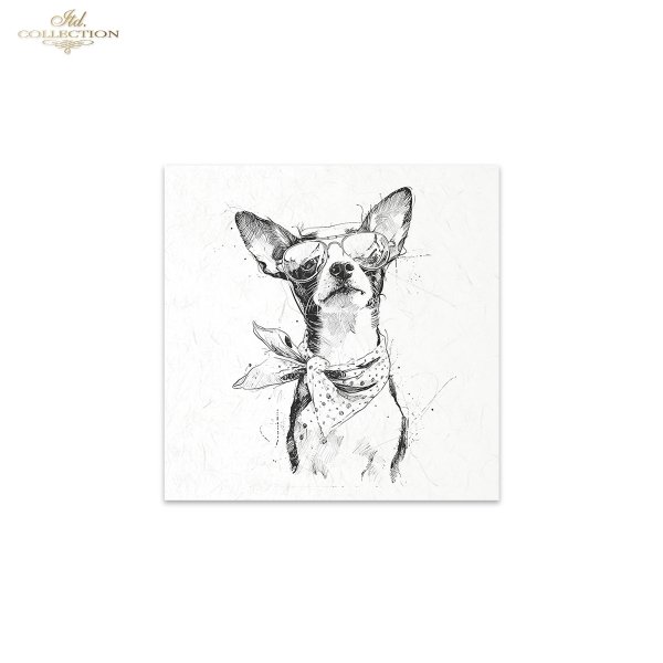 Rice paper set RSM255