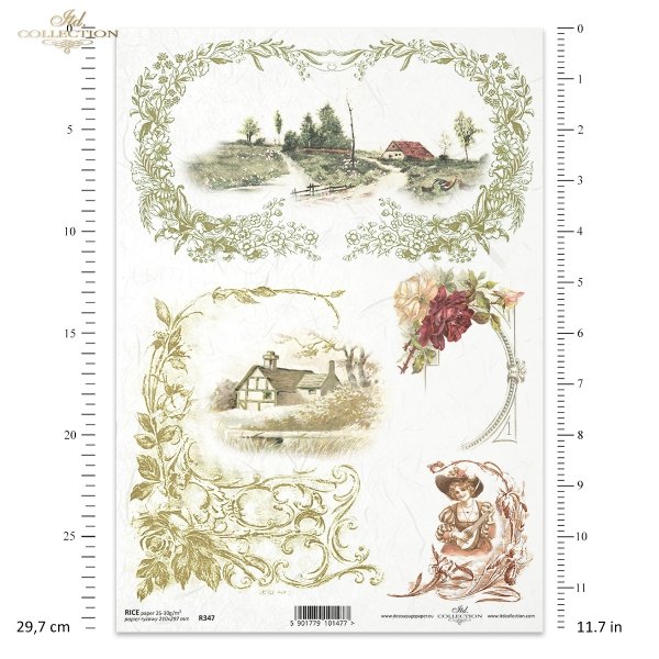 ornamenty, ornamenty roślinne, ramki roślinne, liście, kwiaty, widoczki, R347