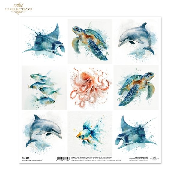 żółw morski, złota rybka, ryby, delfin, ośmiornica, manta, płaszczka, ocean, fauna, akwarela