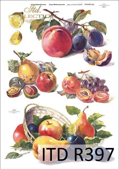 śliwka, śliwki, jabłko, jabłka, gruszka, gruszki, cytryna, cytryny, cytrynka, owoce, R397