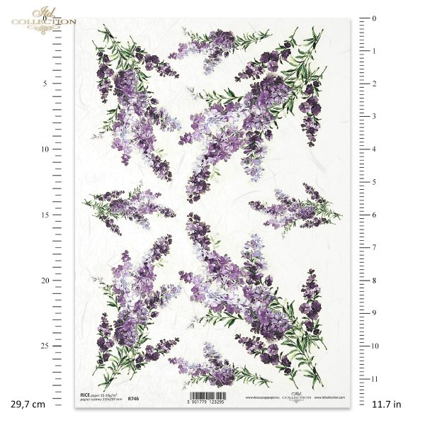 lawenda, lawendowe, lawendowy, bukiet, kwiat, ogród, lato, R746, lavender, bouquet, flower, garden, summer, Lavendel, Strauß, Blume, Garten, Sommer, lavanda, ramo, flor, jardín, verano