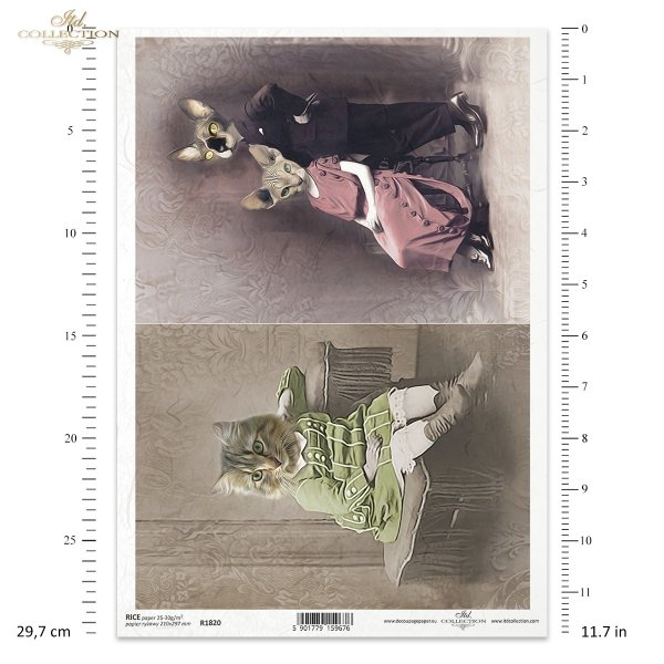 zwierzęta retro, zwierzęta w dawnych strojach, zoomorfizm, vintage, kot, kotek, kicia, koty, sfinks, animals, animals in old clothes, zoomorphism, cat, kitten, kittens, cats, sphinx, Retro-Tiere, Tiere in alter Kleidung, Zoomorphismus, Katze