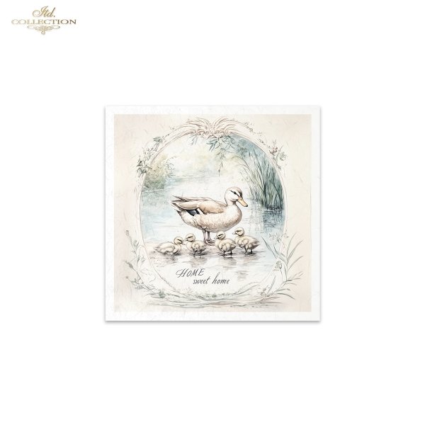 Rice paper set RSM159