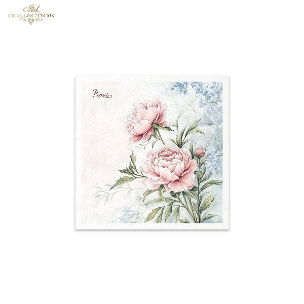 Rice paper set RSM177