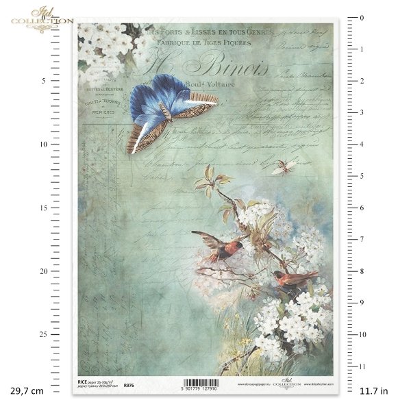 kwiat, ptak, motyl, ćma, ogród, pastelowe tło, list, ręczne pismo, krzew owocowy, drzewo owocowe, R976, flower, bird, butterfly, moth, garden, pastel background, letter, handwriting, fruit bush, fruit tree, Blume, Vogel, Schmetterling, Motte, Garten, past