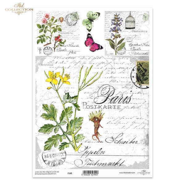 jaskółcze ziele, kwiaty, zioła, motyle*swallowtail, flowers, herbs, butterflies*Schwalbenschwanz, Blumen, Kräuter, Schmetterlinge*cola de golondrina, flores, hierbas, mariposas