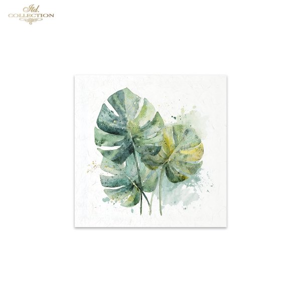 Rice paper set RSM278