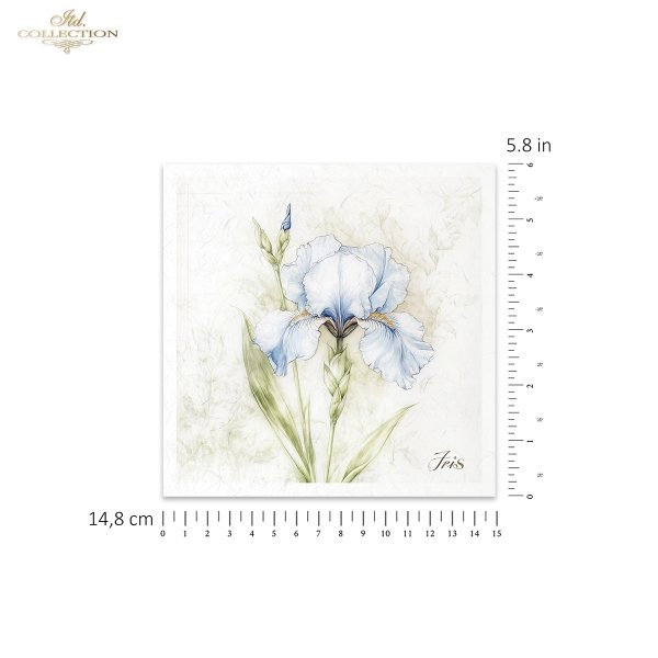 Rice paper set RSM173
