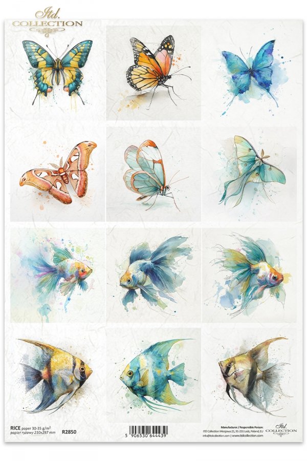 motyl, akwarela, złota rybka, skalar, ryby*butterfly, watercolor, goldfish, angelfish, fish*butterfly, watercolor, goldfish, angelfish, fis