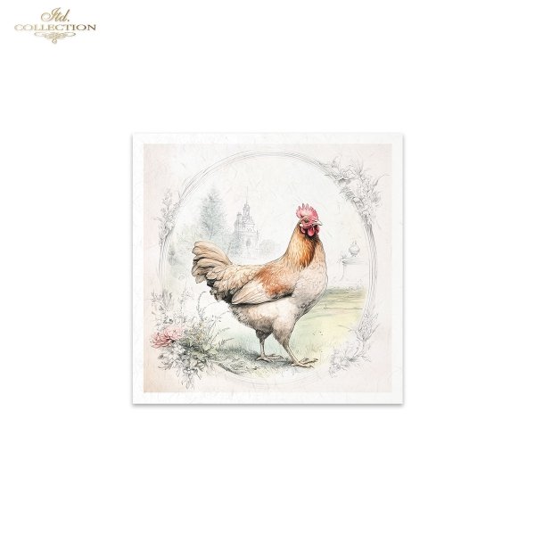 Rice paper set RSM158