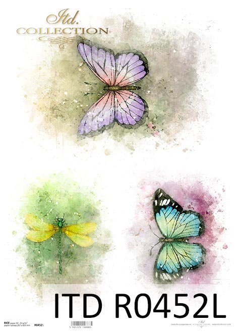 Akwarele, kolorowe motyle, ważka, owady, lato*Watercolors, colorful butterflies, dragonfly, insects, summer