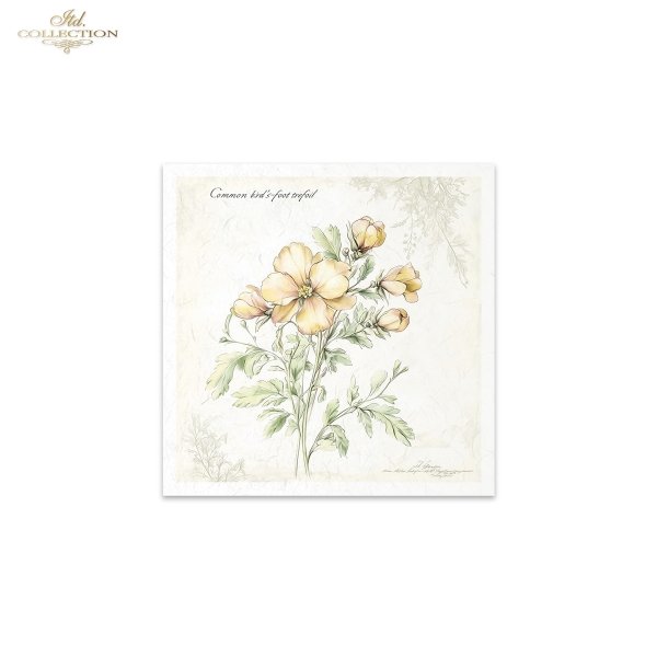 Rice paper set RSM172