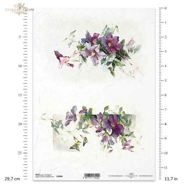 wiosenne kwiaty, clematis, powojnik, powojniki, łąka, ogród, wiosna, spring flowers, clematis, meadow, garden, spring, Frühlingsblumen, Clematis, Wiese, Garten, Frühling, flores de primavera, clemátide, prado, jardín, primavera