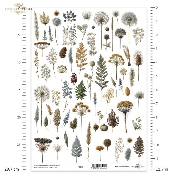 ususzone kwiatki, zioła, rośliny, suszki*dried flowers, herbs, plants, dries*Trockenblumen, Kräuter, Pflanzen, getrocknet*flores secas, hierbas, plantas, seca