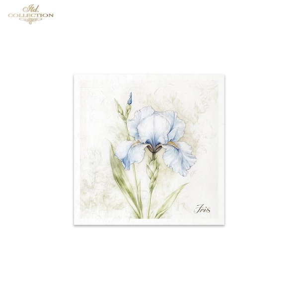 Rice paper set RSM173