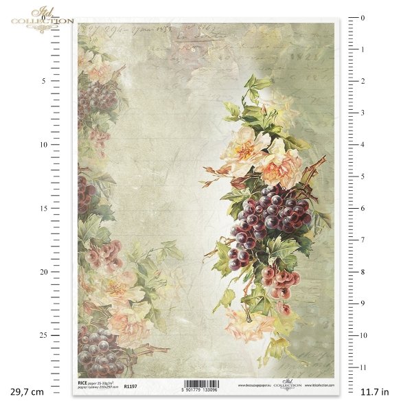 retro, kwiaty, róża, róże, winogrona, winogrono, owoce, ogród, tło, retro, flowers, roses, grapes, fruits, garden, Weinlese, Blumen, Rosen, Trauben, Obst, Garten, cosecha, flores, rosas, uvas, fruta, jardín