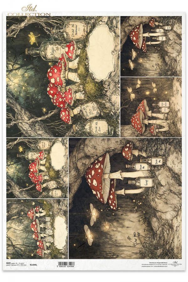 mroczny las, grzyby, muchomory, baśniowy krajobraz, ciemny las*dark forest, mushrooms, toadstools, fairytale landscape, dark forest*dunkler Wald, Pilze, Fliegenpilze, Märchenlandschaft, dunkler Wald*bosque oscuro, setas, seta, paisaje de cuento, bosque os