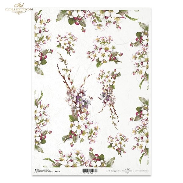 kwiat jabłoni, kwitnąca jabłoń, drzewo owocowe, wiosna, R679, apple blossom, blossoming apple tree, fruit tree, spring, Apfelblüte, blühender Apfelbaum, Obstbaum, Frühling, manzano en flor, manzano en flor, árbol frutal, primavera 