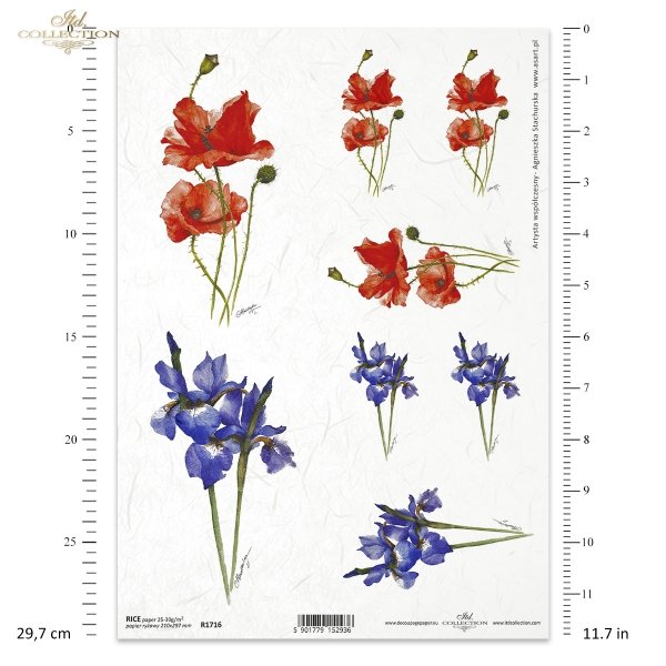 kwiaty polne, łąka, maki, irysy, artysta współczesny Agnieszka Stachurska, field flowers, meadow, poppies, irises, contemporary artist, Feldblumen, Wiese, Mohnblumen, Schwertlilien, zeitgenössische Künstlerin, flores de campo, prado