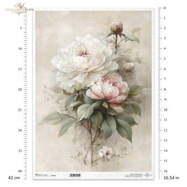 vintage, flora, bukiety, kwiaty, botanika, peonia