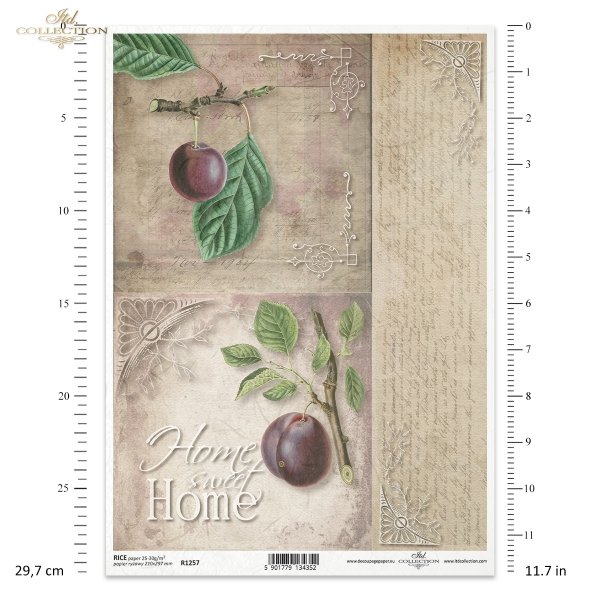 home sweet home, plum, plums, fruit, branch, leaves, old lettering, retro, handwriting, old paper, letter, background, decors, ornaments, corners, Pflaumen, Obst, Fruchte, Zweig, Blätter, alte Beschriftung, retro, Handschrift