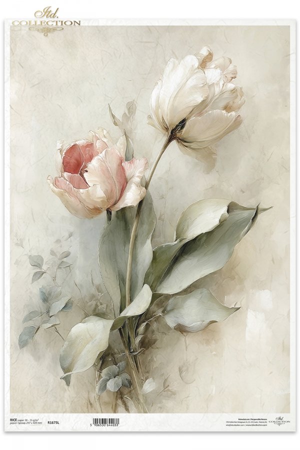 vintage, flora, bukiety, kwiaty, botanika, tulipan