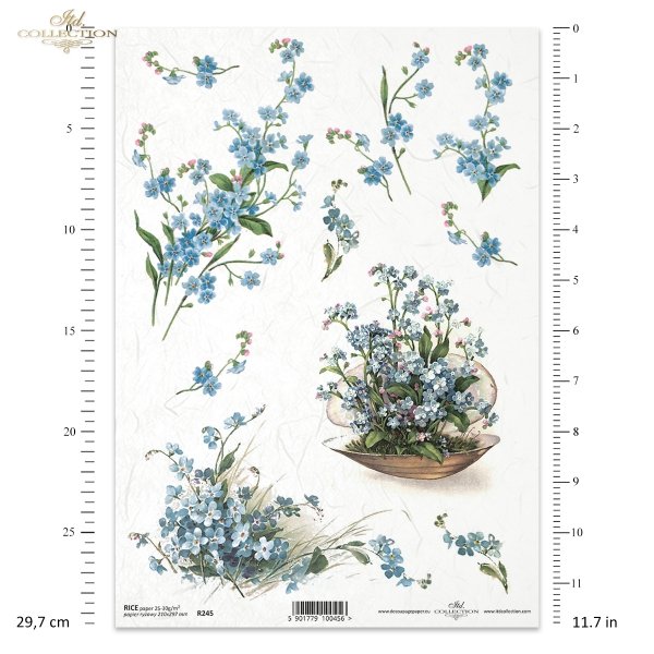 niezapominajka, niezapominajki, wiosna,  drobne niebieskie kwiatki, kwiaty, R245