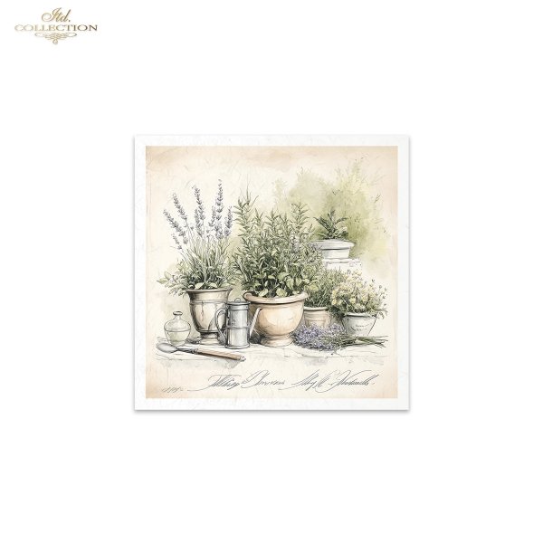 conjunto de papeles de arroz RSM169