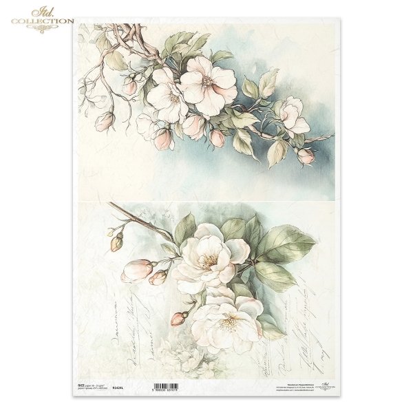 kwiaty flowers Blumen flores 