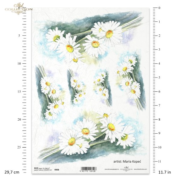margerytka, margerytki, kwiat, ogród, łąka, wiosna, autorka grafiki Maria Kopeć, R908, marguerite, flower, garden, meadow, spring, Margerite, Blume, Garten, Wiese, Frühling, marguerite, marguerites, flor, jardín, prado, primavera